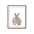 Picture of Behind Bunny _GroupedProduct_Rectangle_Portrait_Framed_Matted_