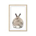 Picture of Behind Bunny _GroupedProduct_Rectangle_Portrait_Framed_Matted_