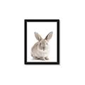 Picture of In Front Bunny _GroupedProduct_Rectangle_Portrait_Framed_Matted_