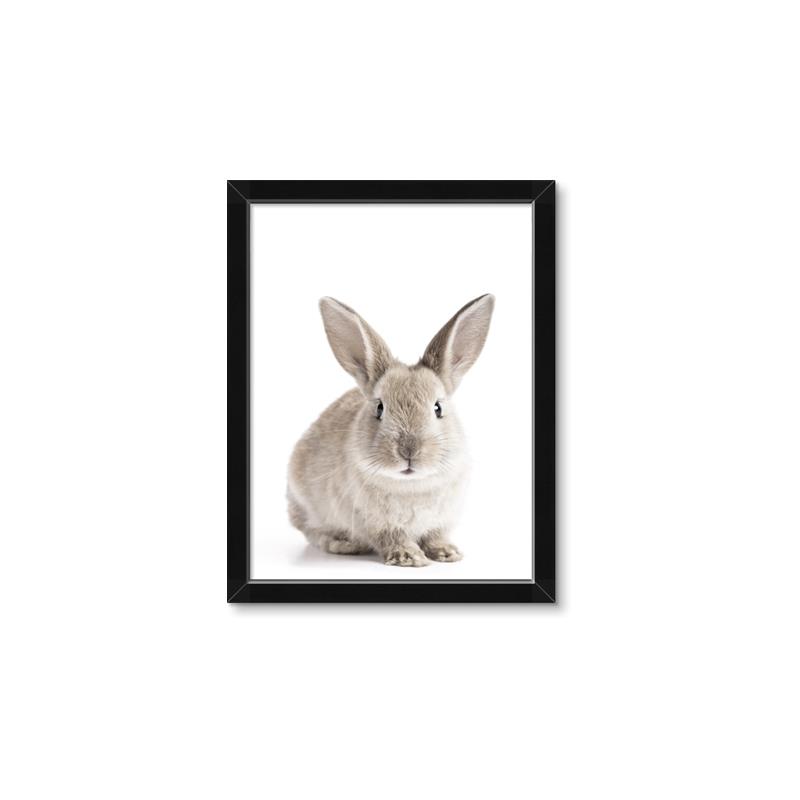 Picture of In Front Bunny _GroupedProduct_Rectangle_Portrait_Framed_Matted_