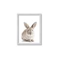 Picture of In Front Bunny _GroupedProduct_Rectangle_Portrait_Framed_Matted_