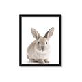 Picture of In Front Bunny _GroupedProduct_Rectangle_Portrait_Framed_Matted_