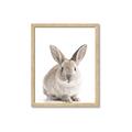Picture of In Front Bunny _GroupedProduct_Rectangle_Portrait_Framed_Matted_