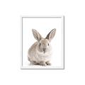 Picture of In Front Bunny _GroupedProduct_Rectangle_Portrait_Framed_Matted_