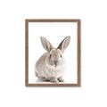 Picture of In Front Bunny _GroupedProduct_Rectangle_Portrait_Framed_Matted_