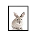 Picture of In Front Bunny _GroupedProduct_Rectangle_Portrait_Framed_Matted_