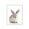 Picture of In Front Bunny _GroupedProduct_Rectangle_Portrait_Framed_Matted_