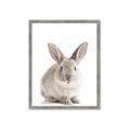 Picture of In Front Bunny _GroupedProduct_Rectangle_Portrait_Framed_Matted_
