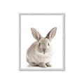 Picture of In Front Bunny _GroupedProduct_Rectangle_Portrait_Framed_Matted_