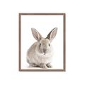 Picture of In Front Bunny _GroupedProduct_Rectangle_Portrait_Framed_Matted_