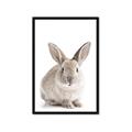 Picture of In Front Bunny _GroupedProduct_Rectangle_Portrait_Framed_Matted_