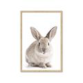Picture of In Front Bunny _GroupedProduct_Rectangle_Portrait_Framed_Matted_