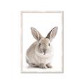 Picture of In Front Bunny _GroupedProduct_Rectangle_Portrait_Framed_Matted_