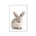 Picture of In Front Bunny _GroupedProduct_Rectangle_Portrait_Framed_Matted_