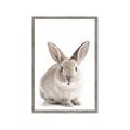 Picture of In Front Bunny _GroupedProduct_Rectangle_Portrait_Framed_Matted_