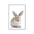 Picture of In Front Bunny _GroupedProduct_Rectangle_Portrait_Framed_Matted_