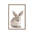 Picture of In Front Bunny _GroupedProduct_Rectangle_Portrait_Framed_Matted_