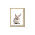 Picture of In Front Bunny _GroupedProduct_Rectangle_Portrait_Framed_Matted_