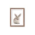 Picture of In Front Bunny _GroupedProduct_Rectangle_Portrait_Framed_Matted_