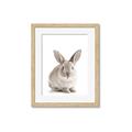 Picture of In Front Bunny _GroupedProduct_Rectangle_Portrait_Framed_Matted_