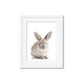 Picture of In Front Bunny _GroupedProduct_Rectangle_Portrait_Framed_Matted_