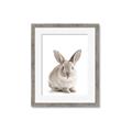 Picture of In Front Bunny _GroupedProduct_Rectangle_Portrait_Framed_Matted_