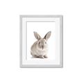 Picture of In Front Bunny _GroupedProduct_Rectangle_Portrait_Framed_Matted_