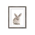 Picture of In Front Bunny _GroupedProduct_Rectangle_Portrait_Framed_Matted_