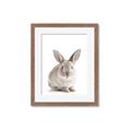 Picture of In Front Bunny _GroupedProduct_Rectangle_Portrait_Framed_Matted_