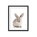 Picture of In Front Bunny _GroupedProduct_Rectangle_Portrait_Framed_Matted_