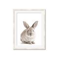 Picture of In Front Bunny _GroupedProduct_Rectangle_Portrait_Framed_Matted_