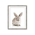Picture of In Front Bunny _GroupedProduct_Rectangle_Portrait_Framed_Matted_