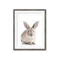 Picture of In Front Bunny _GroupedProduct_Rectangle_Portrait_Framed_Matted_