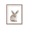 Picture of In Front Bunny _GroupedProduct_Rectangle_Portrait_Framed_Matted_