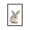Picture of In Front Bunny _GroupedProduct_Rectangle_Portrait_Framed_Matted_