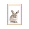 Picture of In Front Bunny _GroupedProduct_Rectangle_Portrait_Framed_Matted_