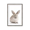 Picture of In Front Bunny _GroupedProduct_Rectangle_Portrait_Framed_Matted_