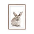 Picture of In Front Bunny _GroupedProduct_Rectangle_Portrait_Framed_Matted_