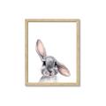 Picture of Floppy Bunny _GroupedProduct_Rectangle_Portrait_Framed_Matted_