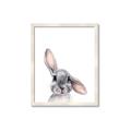 Picture of Floppy Bunny _GroupedProduct_Rectangle_Portrait_Framed_Matted_
