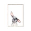 Picture of Floppy Bunny _GroupedProduct_Rectangle_Portrait_Framed_Matted_