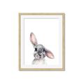 Picture of Floppy Bunny _GroupedProduct_Rectangle_Portrait_Framed_Matted_
