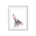 Picture of Floppy Bunny _GroupedProduct_Rectangle_Portrait_Framed_Matted_
