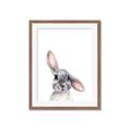 Picture of Floppy Bunny _GroupedProduct_Rectangle_Portrait_Framed_Matted_