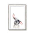 Picture of Floppy Bunny _GroupedProduct_Rectangle_Portrait_Framed_Matted_