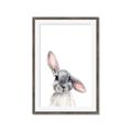 Picture of Floppy Bunny _GroupedProduct_Rectangle_Portrait_Framed_Matted_