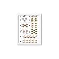 Picture of Dino Number Chart I _GroupedProduct_Rectangle_Portrait_Framed_Matted_