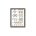 Picture of Dino Number Chart I _GroupedProduct_Rectangle_Portrait_Framed_Matted_