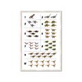 Picture of Dino Number Chart I _GroupedProduct_Rectangle_Portrait_Framed_Matted_