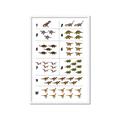 Picture of Dino Number Chart I _GroupedProduct_Rectangle_Portrait_Framed_Matted_